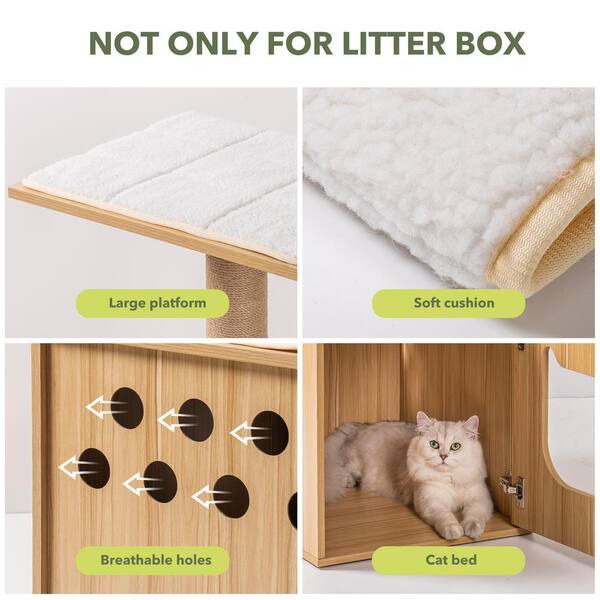 Cat using bed as litter clearance box