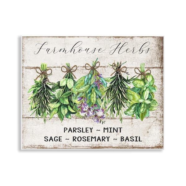 Stupell Industries Vintage Farm Market Herbs by Creatif Belle Unframed Food Graphic Art Print 11 in. x 14 in.