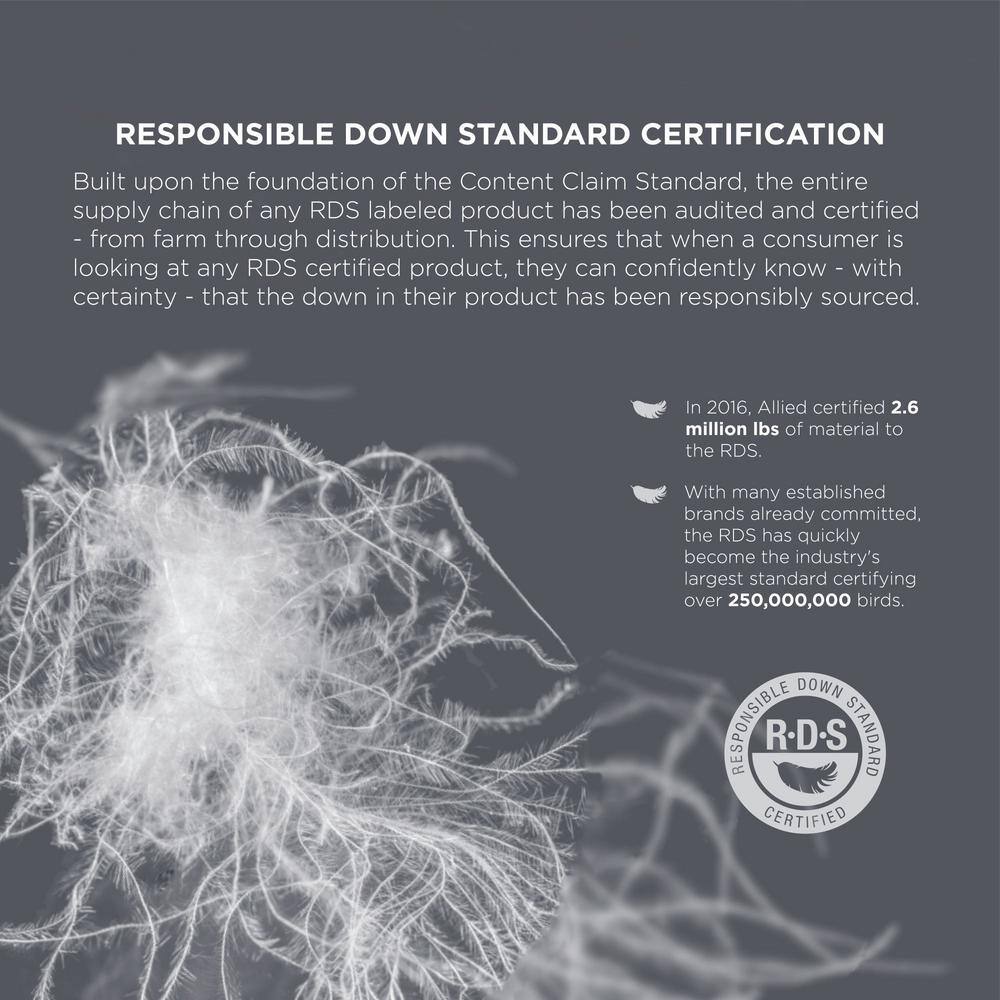 Jumbo Organic Cotton Prime Feather Pillow