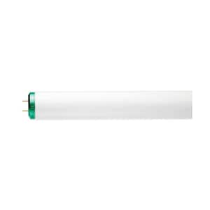 20-Watt 2 ft. Linear T12 Fluorescent Tube Light Bulb Bright White (3000K) (12-Pack)