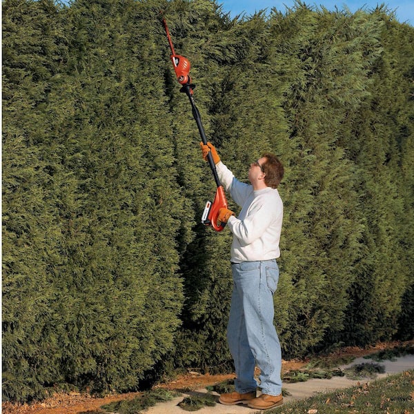 BLACK+DECKER 20V MAX Cordless Battery Powered Pole Hedge Trimmer (Tool  Only) LPHT120B - The Home Depot