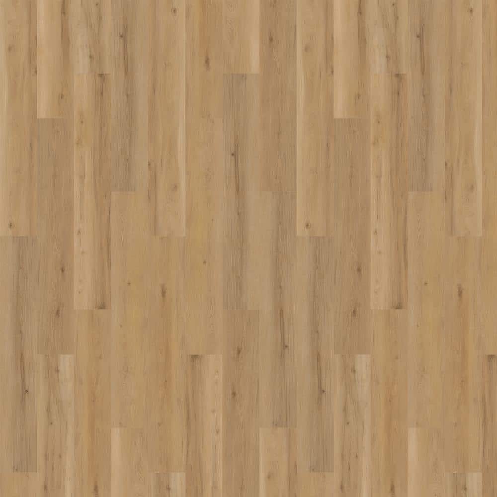 Mohawk Take Home Sample Elite Toronto Hickory 20 Mil T x 9.13 in. W x