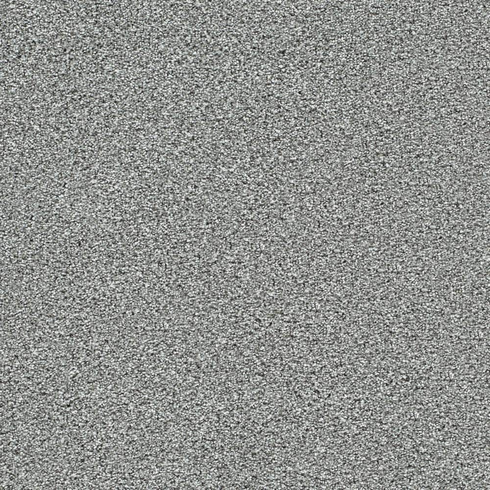 8 in. x 8 in. Texture Carpet Sample - Evermore II - Color Boundless price history on PriceWatchPro