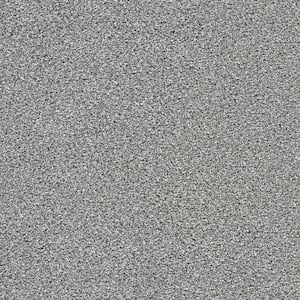 8 in. x 8 in. Texture Carpet Sample - Evermore I - Color Boundless