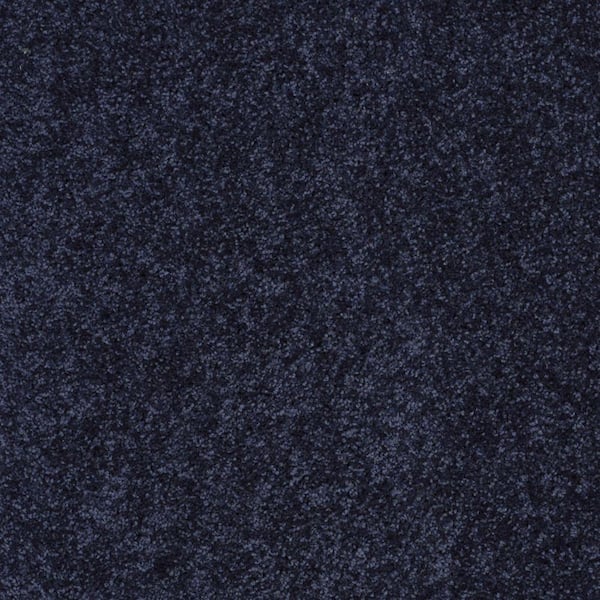 TrafficMaster Palmdale I - Dock Side - Blue 17.6 oz. Polyester Texture Installed Carpet