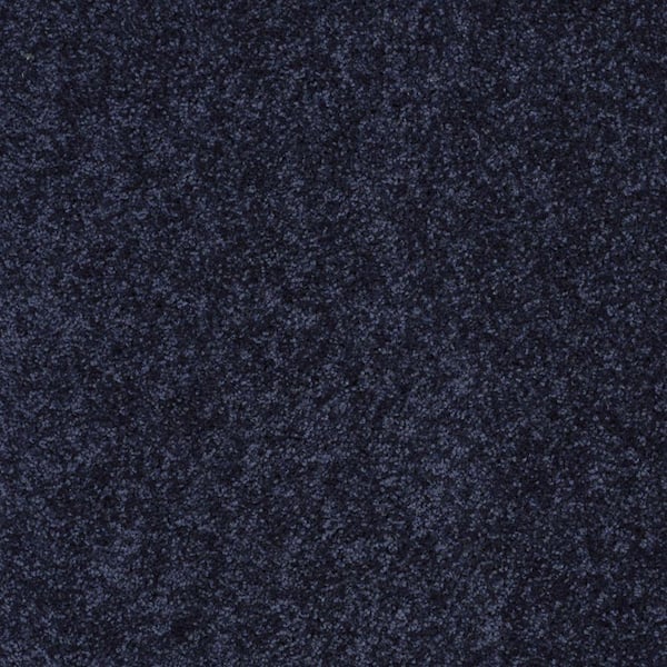 Palmdale II - Dock Side - Blue 15 ft. 31.2 oz. Polyester Texture Installed Carpet