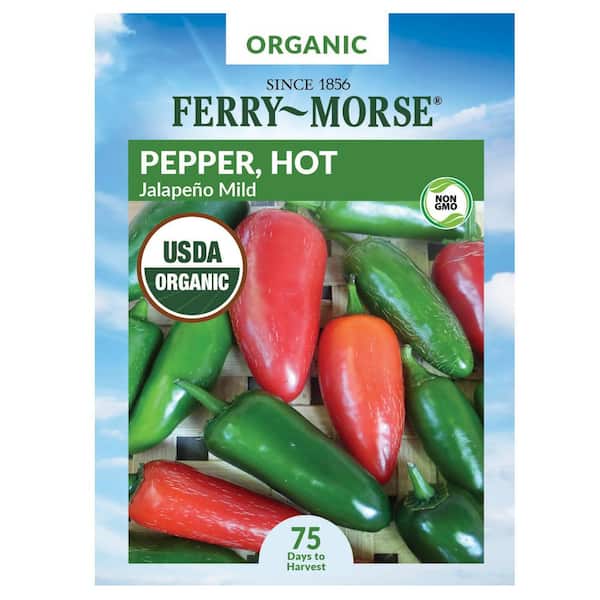 Organic Jalapeno Mild Fruit Seed