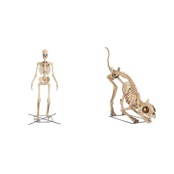 12 ft. Grave & Bones Giant Skelly with LifeEyes™ and 5 ft. LED Skelly's Cat Combo