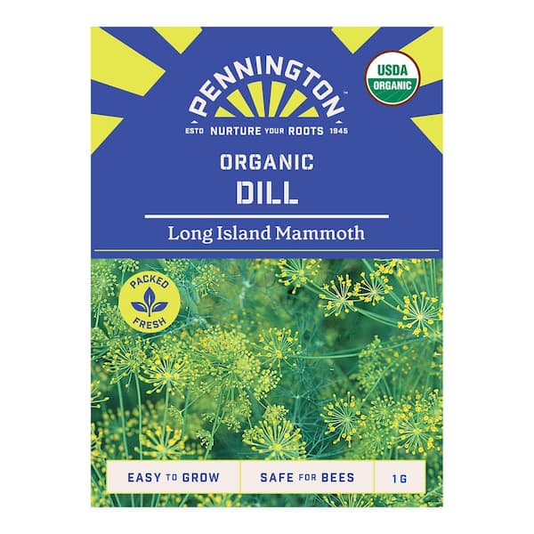 Organic Long Island Mammoth Dill Herb Seeds