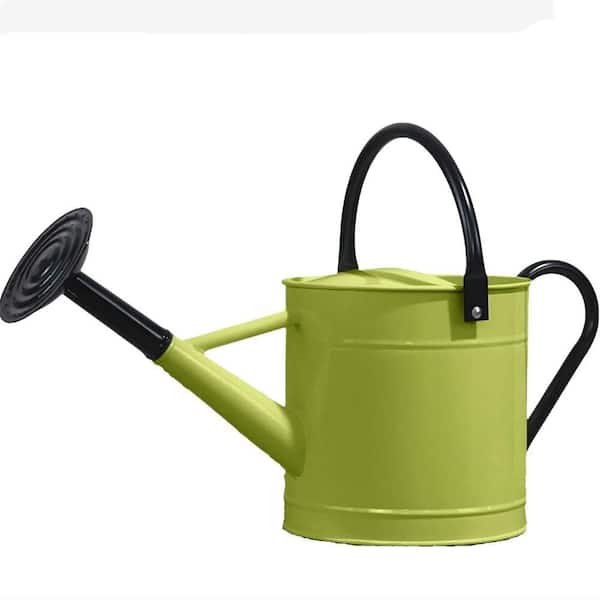ハンドメイドcan can Cubilan 1 Gal. Metal Watering Can with Removable Spout, Nice