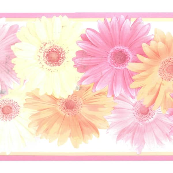 Dundee Deco Falkirk Brin Daisies Pink, Beige, Orange Wallpaper Border