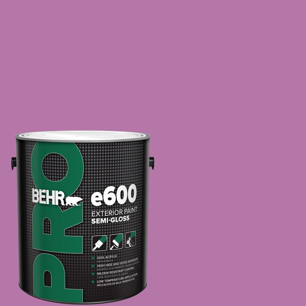 1 gal. #P110-5A Eccentric Magenta Semi-Gloss Exterior Paint price history on PriceWatchPro