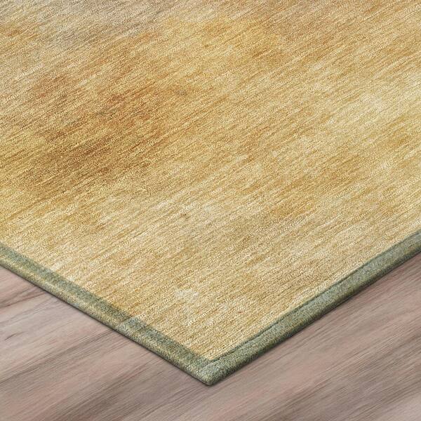 Chantille Machine Washable Indoor/Outdoor Abstract ACN2883 Wheat 3 ft. x 5 ft. Area Rug