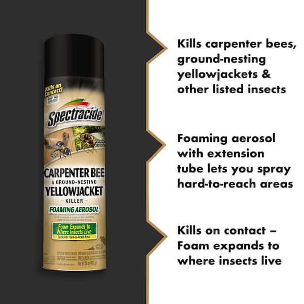 Reviews for Spectracide 16 oz. Carpenter Bee And Ground-Nesting