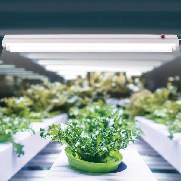 2/3M LED Grow Lights Hydroponic Full Spectrum Indoor Plant Flower Grow USA 