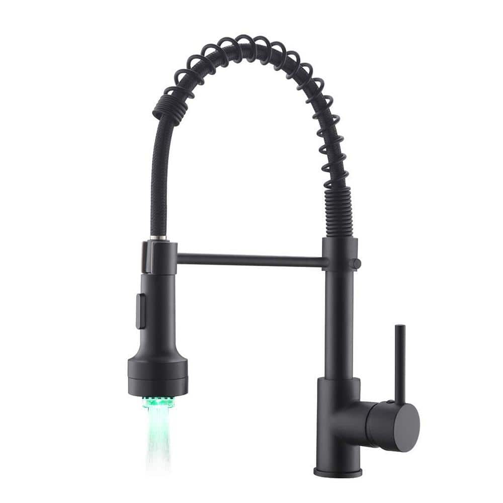 Fapully SingleHandle Pull Down Sprayer Kitchen Faucet with 360