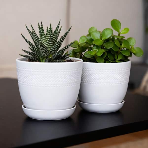 Vigoro Brighton Small White Resin Planter with Saucer (6 in. W x