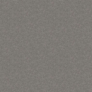 Alpine - Brushed Nickel - Gray 17.3 oz. Polyester Texture Installed Carpet