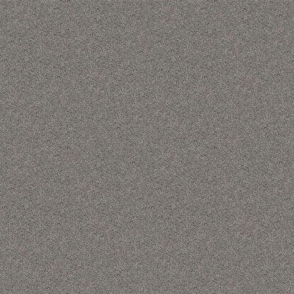 Alpine - Brushed Nickel - Gray 15 ft. 17.3 oz. Polyester Texture Installed Carpet