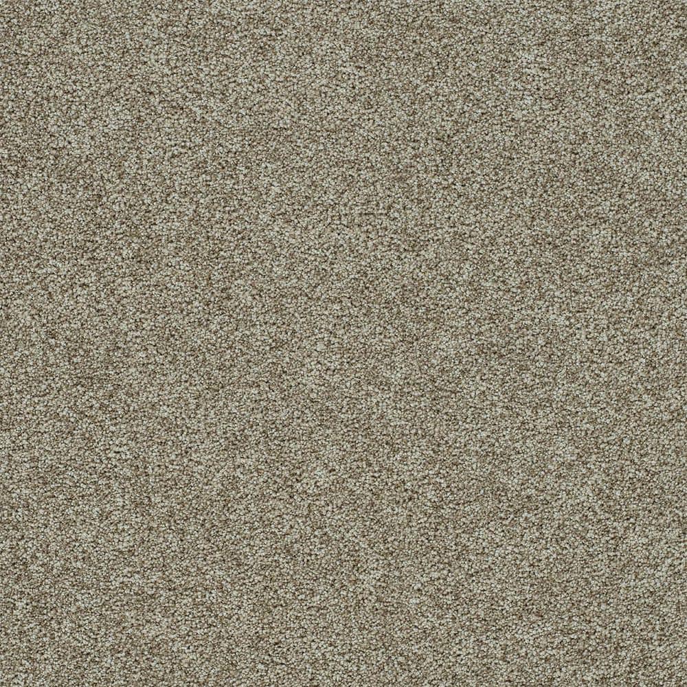 8 in. x 8 in. Texture Carpet Sample-Dewdrop I-Color Smooth price history on PriceWatchPro