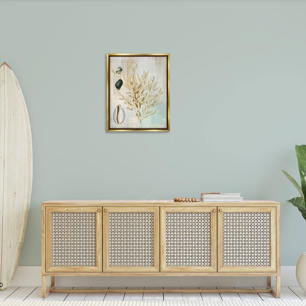 Coral Branch & Cowrie Shells by Susan Arnot Gold Floater Frame Animal Graphic Art Print 31 in. x 25 in. price history on PriceWatchPro