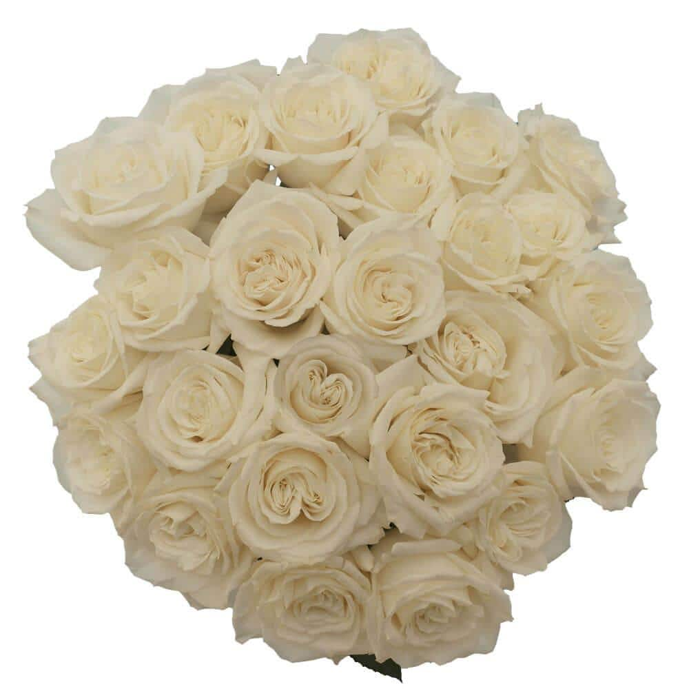 Globalrose 50 Stems of White Playa Blanca Roses Fresh Flower Delivery ...