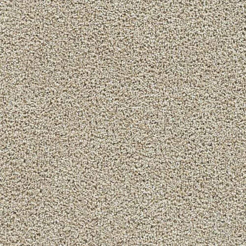 8 in. x 8 in. Texture Carpet Sample-Friendship Fables-Color Kindness price history on PriceWatchPro