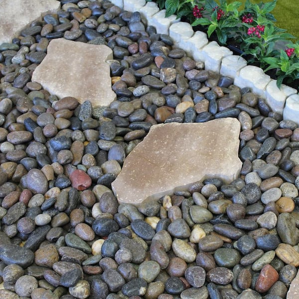 PGN White River Rocks for Plants - 5 Pounds - White Rocks with Smooth, Polished Surfaces - 1-3 inch Stones for Planters, Aquarium Decorations, Vase