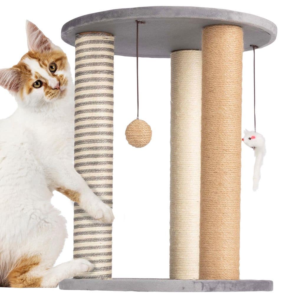 Your Cat How To Keep Cats From Scratching Deck Posts Pet Trex Gray