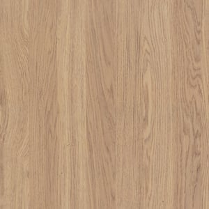 4 ft. x 8 ft. Laminate Sheet in Millenium Oak Antimicrobial with Matte Finish