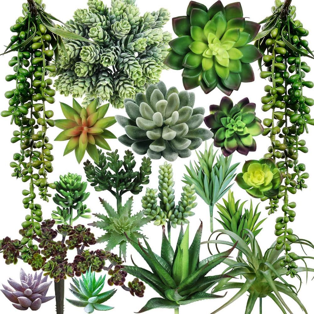 19-Piece Assorted Artificial Succulents Plants, Unpotted Small Green Hanging Succulent for Home Decor price history on PriceWatchPro