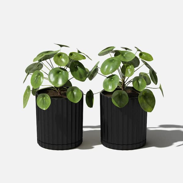 https://images.thdstatic.com/productImages/959a1f02-c298-5bbb-931b-a3f26e4dc586/svn/black-veradek-plant-pots-dmv6b-2pk-76_600.jpg