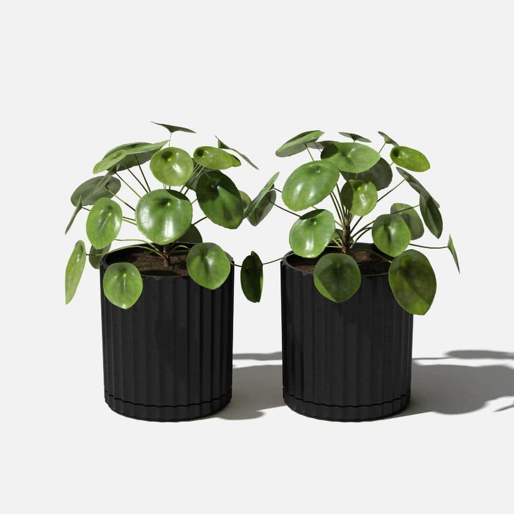 Roman Column Inspired Black Plastic-Stone 6" Planter Pair