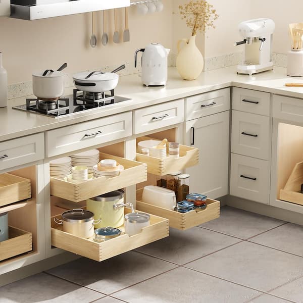 https://images.thdstatic.com/productImages/959d6dfc-0340-4698-bf2e-f9e68aecc138/svn/homeibro-pull-out-cabinet-drawers-hd-52111yg-az-c3_600.jpg