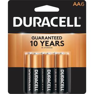 Coppertop Alkaline AA Battery (6-Pack), Double A Batteries