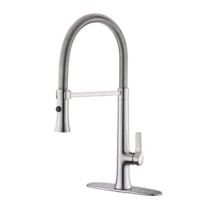 Nita Spring Spout Single-Handle Pull-Down Sprayer Kitchen Faucet w/Accessories Rust and Spot Resist in Brushed Nickel