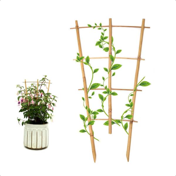 SenQWFa 16 Inch Bamboo Fan Shaped Trellis Small Indoor Plant Support for Climbing Orchid Monstera Vine Hoya 3 Pack