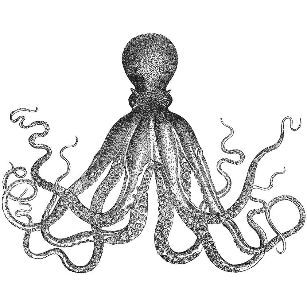 Black and White Nautical Octopus Wall Decal