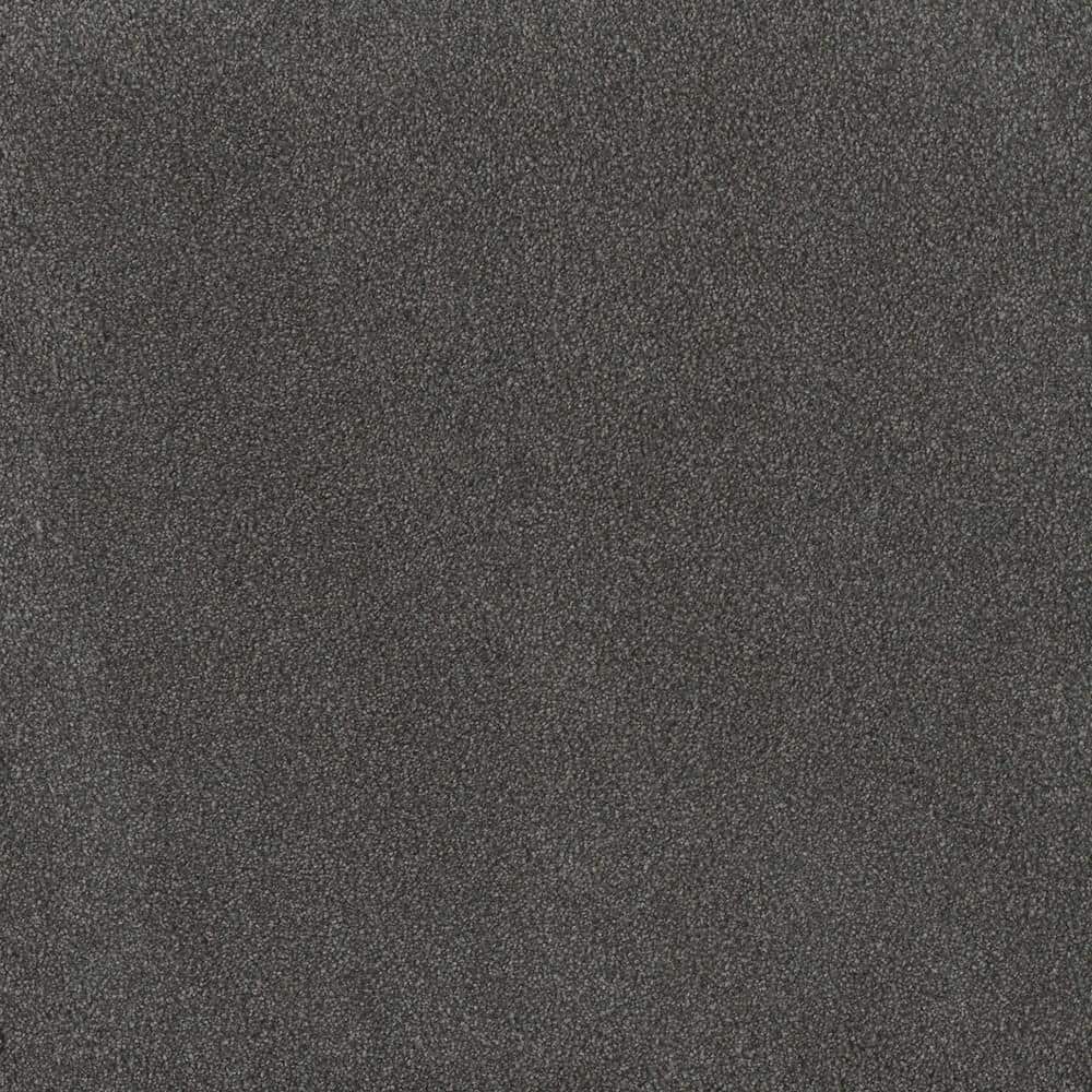 8 in. x 8 in. Texture Carpet Sample - First Class II -Color Oakwood price history on PriceWatchPro