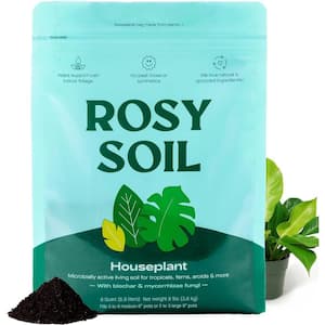 LEAVES AND SOUL Professional Money Tree Soil, 2.2 qt., Ready to Use, Peat  Moss, Coco Coir, Perlite, Dolomite B0C5NC9BRS - The Home Depot