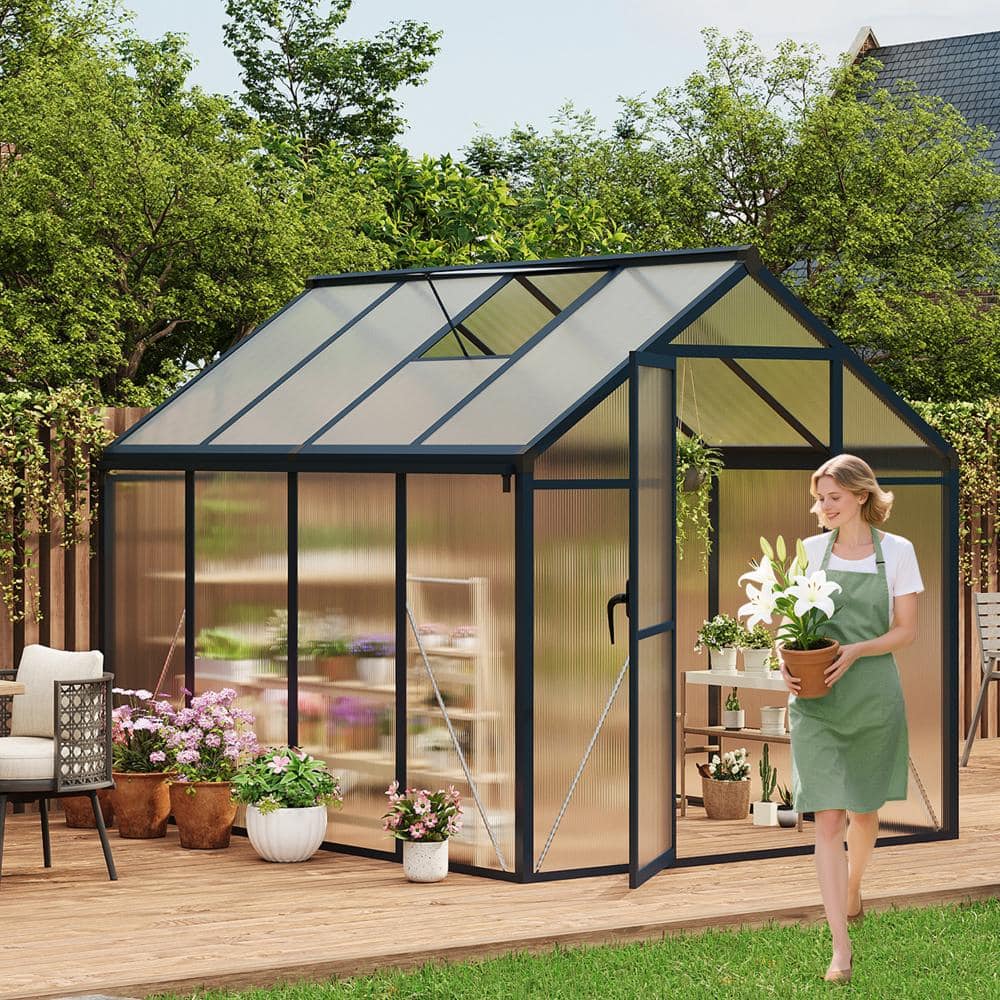 6x8 FT Greenhouse w/Swing Door, Aluminum Frame, PC Panels, Roof Vent, Dark Gray price history on PriceWatchPro