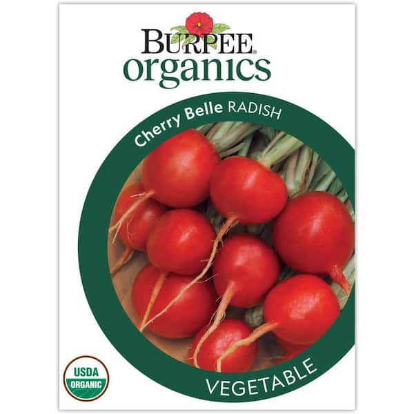 Organic Radish Cherry Belle Vegetable Seed