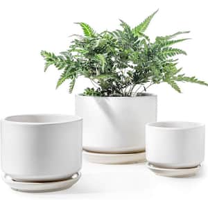 Modern 6.8 in. L x 6.8 in. W x 5.3 in. H Cream White Ceramic Round Indoor Planter (3-Pack)