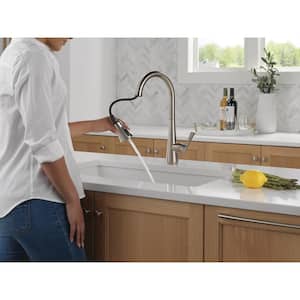 Banks Single-Handle Pull-Down Sprayer Kitchen Faucet with ShieldSpray in Stainless