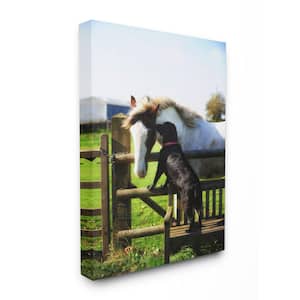16 in. x 20 in. "Colorful Farm Horse and Dog Photo" by Villager Jim Canvas Wall Art