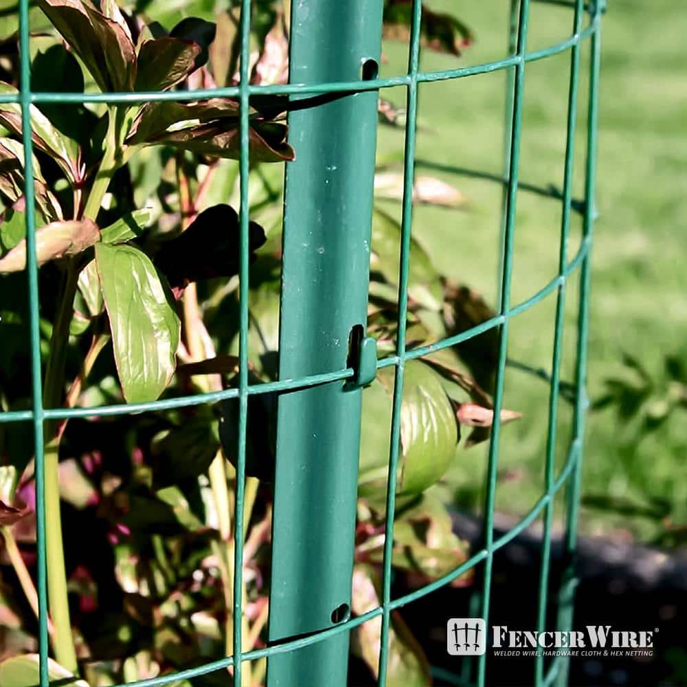 Green Vinyl Coated Welded Metal Garden Fence Wire Roll, 4 ft x 50 ft