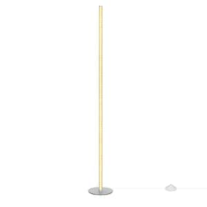 57.5 in. Silver RGBW LED Dimmable Standing Floor Lamp for Living Room with Remote Control