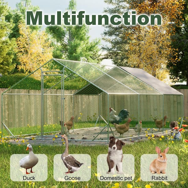 Siavonce 240 in. W Walk-in Large Metal Chicken Coop, Galvanized