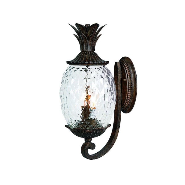 Acclaim Lighting Lanai Collection 2-Light Black Coral Outdoor Wall Lantern Sconce