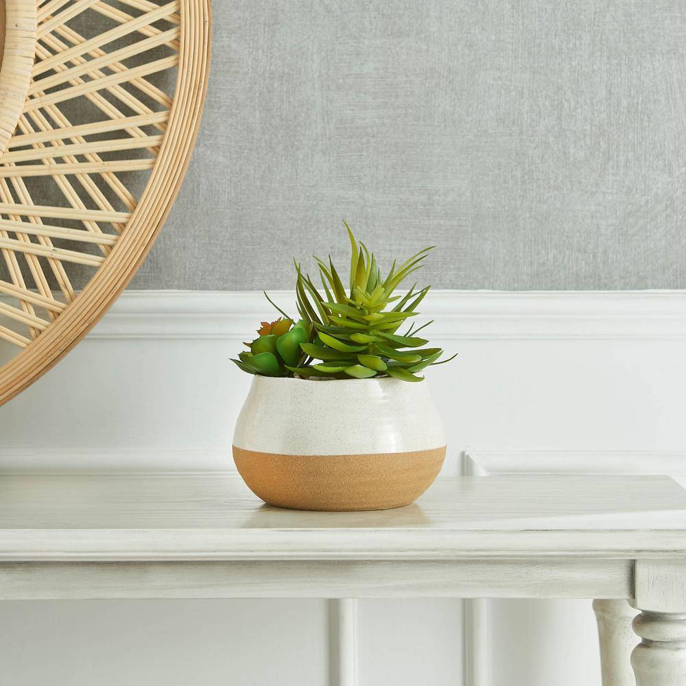Beauty Trio Synthetic Succulent Arrangement